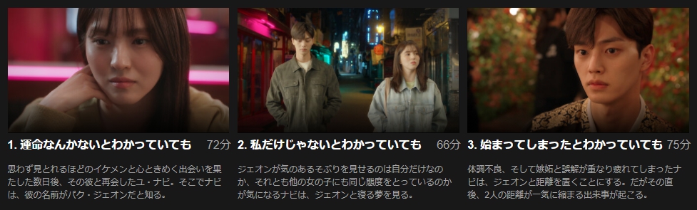 わかっていても　Netflix　話数